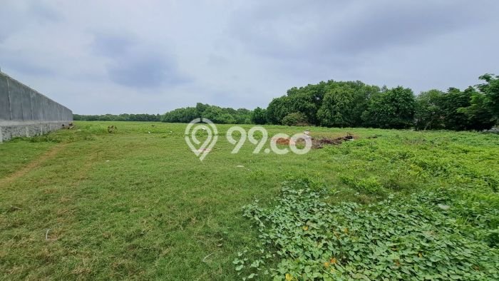 Dijual Tanah Lokasi Kapuk Muara, Jakarta Utara Seluas 100000m2 Dijual Tanah Lokasi Kapuk Muara, Jakarta Utara Seluas 100000m2