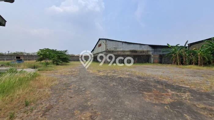 Paling Dicari! Gudang Dijual di Wangunharja Harga Kompetitif Paling Dicari! Gudang Dijual di Wangunharja Harga Kompetitif