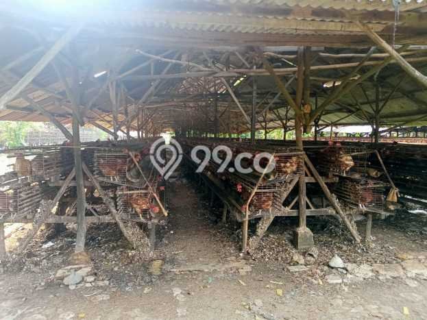 Kavling Tanah di Mauk Dijual Luas 32000m2 Legalitas SHM Kavling Tanah di Mauk Dijual Luas 32000m2 Legalitas SHM