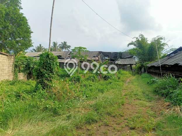 Kavling Tanah di Mauk Dijual Luas 32000m2 Legalitas SHM Kavling Tanah di Mauk Dijual Luas 32000m2 Legalitas SHM