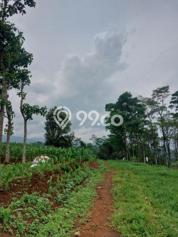 Lahan untuk Dijual di Jatinangor Sumedang Luas 1420m2 Lahan untuk Dijual di Jatinangor Sumedang Luas 1420m2