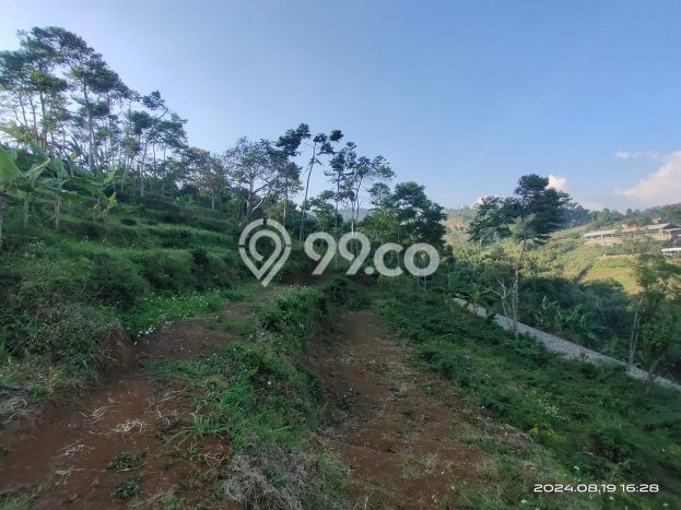 Tanah Investasi Dijual di Bandung Punya Luas 1479m2 Tanah Investasi Dijual di Bandung Punya Luas 1479m2