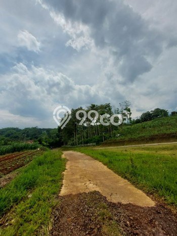 Lahan untuk Dijual di Jatinangor Sumedang Luas 1420m2 Lahan untuk Dijual di Jatinangor Sumedang Luas 1420m2