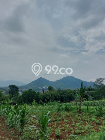 Lahan untuk Dijual di Jatinangor Sumedang Luas 1420m2 Lahan untuk Dijual di Jatinangor Sumedang Luas 1420m2