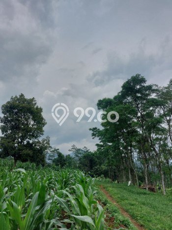 Lahan untuk Dijual di Jatinangor Sumedang Luas 1420m2 Lahan untuk Dijual di Jatinangor Sumedang Luas 1420m2