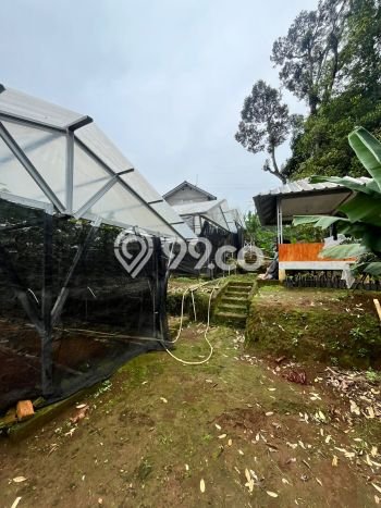Untuk Dijual Tanah di Bogor Barat Bogor Luas 3494m2 - Untuk Dijual Tanah di Bogor Barat Bogor Luas 3494m2 -