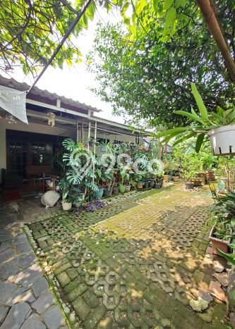 Dijual Rumah Mewah Elegan Dengan View Cantik di Pangkalan Jati, Depok Dijual Rumah Mewah Elegan Dengan View Cantik di Pangkalan Jati, Depok