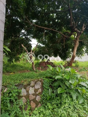 Tanah Dijual Area Strategis di Jati Asih Bekasi 117m2 Tanah Dijual Area Strategis di Jati Asih Bekasi 117m2