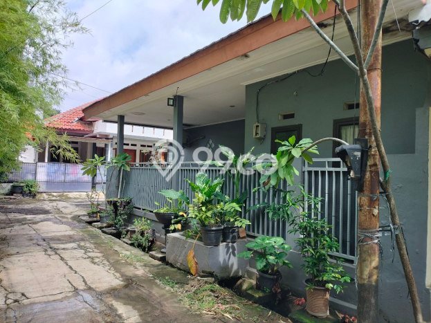 Rumah Luas Asri 4 KT Siap Pakai di Jatibening Bekasi Rumah Luas Asri 4 KT Siap Pakai di Jatibening Bekasi