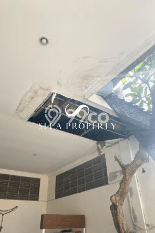 For Sale! Premium House LT 147m2 Desain Elegan di Umalas For Sale! Premium House LT 147m2 Desain Elegan di Umalas