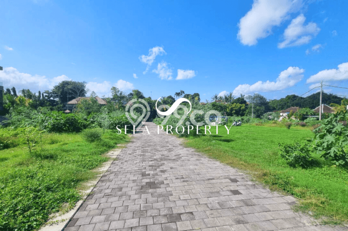 Tanah Dijual Lokasi Strategis di Badung dengan Luas 530m2 Tanah Dijual Lokasi Strategis di Badung dengan Luas 530m2
