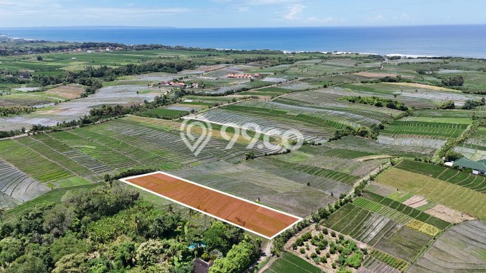 Kavling Tanah Dijual di Tabanan, Tabanan, Luas 4100m2 Area Strategis Kavling Tanah Dijual di Tabanan, Tabanan, Luas 4100m2 Area Strategis
