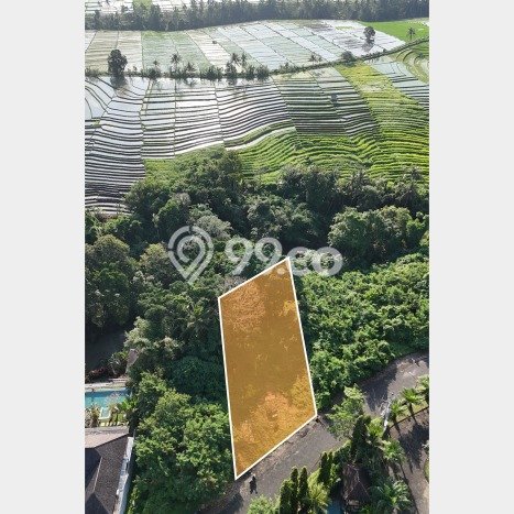 Tanah Kavling Dijual di Munggu, Badung dengan Luas Tanah 1100m2 Tanah Kavling Dijual di Munggu, Badung dengan Luas Tanah 1100m2
