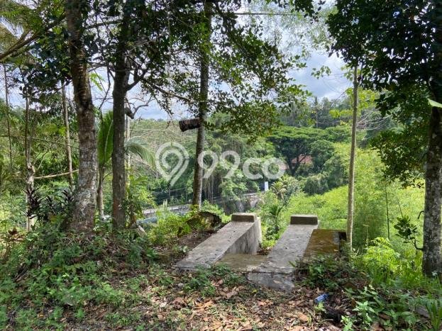 Jarang Ada! Tanah di Ubud Punya Luas 2000m2 SHM Jarang Ada! Tanah di Ubud Punya Luas 2000m2 SHM