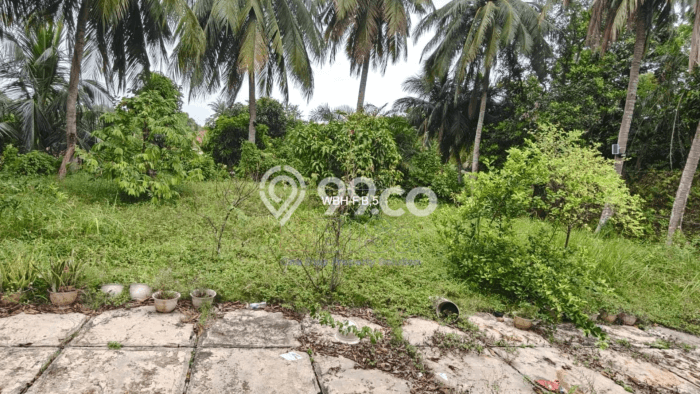 Dijual Cepat Rumah Bagus Siap Huni LB 100m2 di Sekupang, Batam Dijual Cepat Rumah Bagus Siap Huni LB 100m2 di Sekupang, Batam