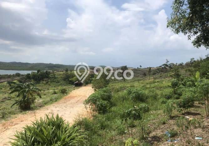 Kavling Tanah di Galang Dijual Luas 268000m2 Legalitas - Kavling Tanah di Galang Dijual Luas 268000m2 Legalitas -