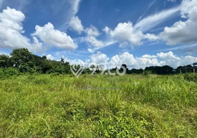Gudang Dijual di Sekupang LT 19151m2, LB 3000m2 untuk Investasi Gudang Dijual di Sekupang LT 19151m2, LB 3000m2 untuk Investasi