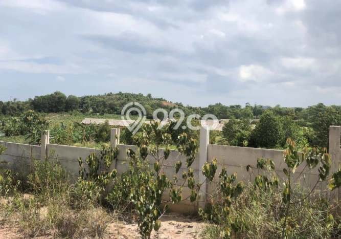 Kavling Tanah di Galang Dijual Luas 268000m2 Legalitas - Kavling Tanah di Galang Dijual Luas 268000m2 Legalitas -