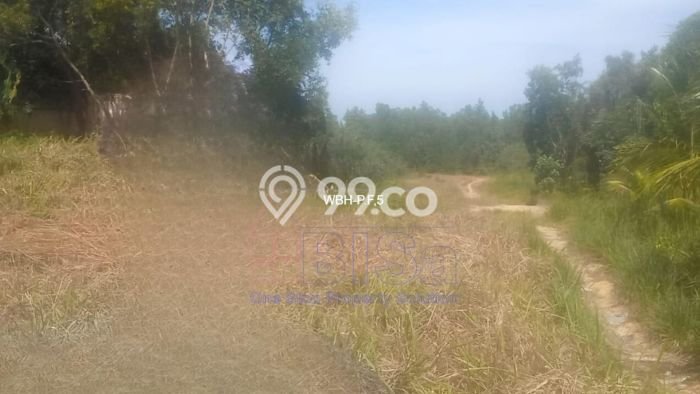 Tanah Siap Bangun Dijual di Batam Punya Luas 140000m2 Tanah Siap Bangun Dijual di Batam Punya Luas 140000m2
