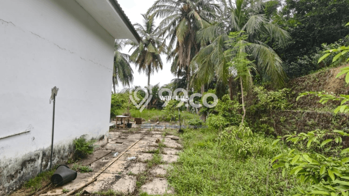 Dijual Cepat Rumah Bagus Siap Huni LB 100m2 di Sekupang, Batam Dijual Cepat Rumah Bagus Siap Huni LB 100m2 di Sekupang, Batam