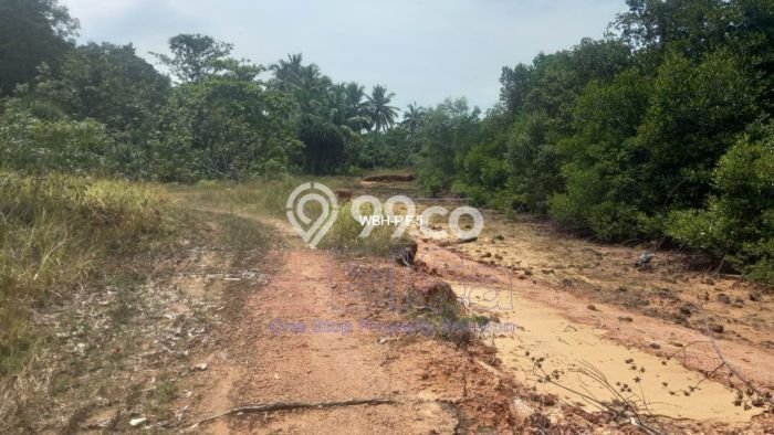 Tanah Siap Bangun Dijual di Batam Punya Luas 140000m2 Tanah Siap Bangun Dijual di Batam Punya Luas 140000m2