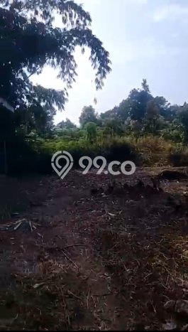 Jual Tanah Area Strategis di Cisauk, Luas 20487m², Ideal untuk Investasi Jual Tanah Area Strategis di Cisauk, Luas 20487m², Ideal untuk Investasi