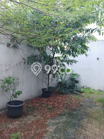 Disewakan Rumah Murah di BSD The Green Tangerang Punya 3 KT Disewakan Rumah Murah di BSD The Green Tangerang Punya 3 KT