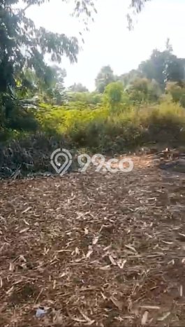 Jual Tanah Area Strategis di Cisauk, Luas 20487m², Ideal untuk Investasi Jual Tanah Area Strategis di Cisauk, Luas 20487m², Ideal untuk Investasi