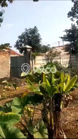 Jual Tanah Area Strategis di Cisauk, Luas 20487m², Ideal untuk Investasi Jual Tanah Area Strategis di Cisauk, Luas 20487m², Ideal untuk Investasi