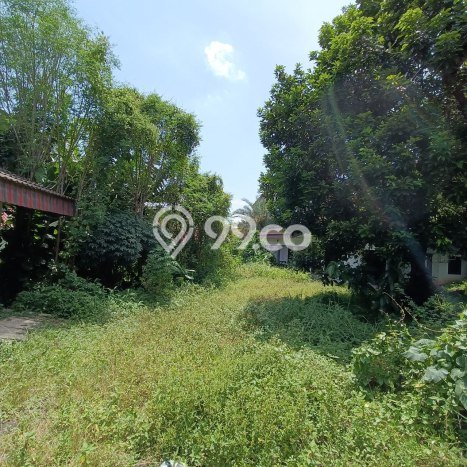 Lahan Investasi Lokasi Cilandak Jakarta Selatan SHM Lahan Investasi Lokasi Cilandak Jakarta Selatan SHM