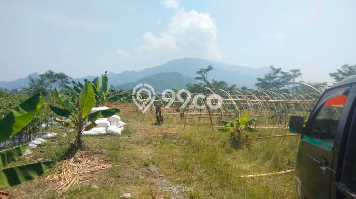 Tanah di Bogor Timur, Luas 50000m², Dekat Jalan Raya Tanah di Bogor Timur, Luas 50000m², Dekat Jalan Raya