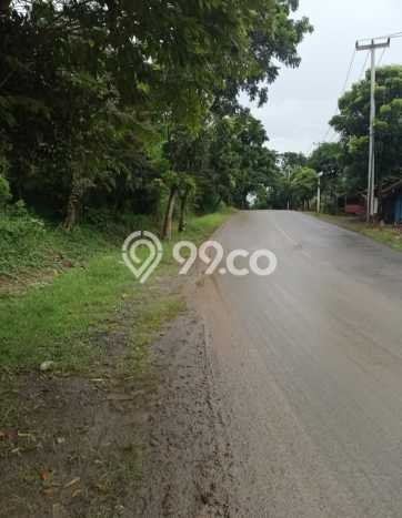 Tanah di Bogor Timur, Luas 50000m², Dekat Jalan Raya Tanah di Bogor Timur, Luas 50000m², Dekat Jalan Raya