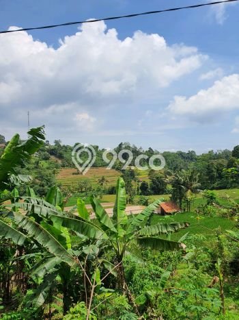 Untuk Dijual Tanah di Wanayasa Purwakarta Luas 1605m2 SHM Untuk Dijual Tanah di Wanayasa Purwakarta Luas 1605m2 SHM