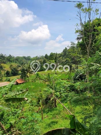 Untuk Dijual Tanah di Wanayasa Purwakarta Luas 1605m2 SHM Untuk Dijual Tanah di Wanayasa Purwakarta Luas 1605m2 SHM