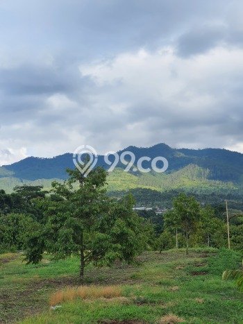 Tanah Kavling untuk Dijual di Pamulihan Sumedang 200000m2 Tanah Kavling untuk Dijual di Pamulihan Sumedang 200000m2