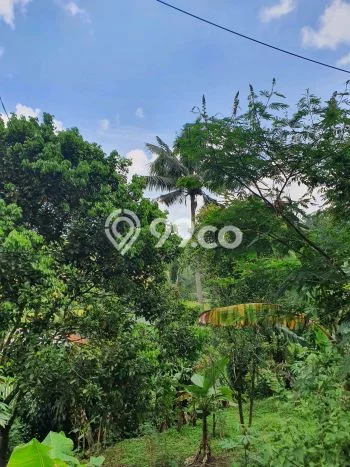 Untuk Dijual Tanah di Wanayasa Purwakarta Luas 1605m2 SHM Untuk Dijual Tanah di Wanayasa Purwakarta Luas 1605m2 SHM