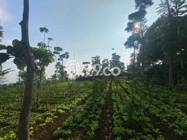 HARGA TERBAIK! Tanah Kawasan Cihanjuang, Luas 1040m², Lokasi Prima HARGA TERBAIK! Tanah Kawasan Cihanjuang, Luas 1040m², Lokasi Prima