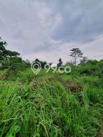 Tanah Kosong Dijual di Bandung Barat dengan Area 749m2 Tanah Kosong Dijual di Bandung Barat dengan Area 749m2