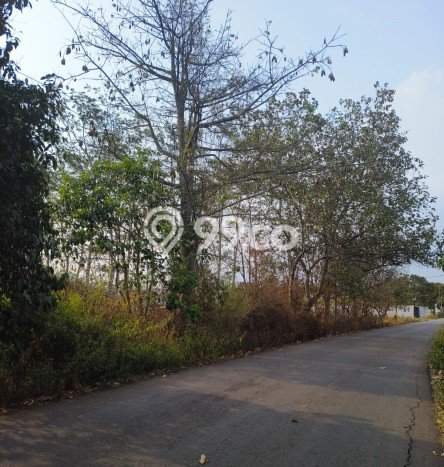 Tanah Kavling di Maja Dijual dengan Luas 2481m2 Tanah Kavling di Maja Dijual dengan Luas 2481m2