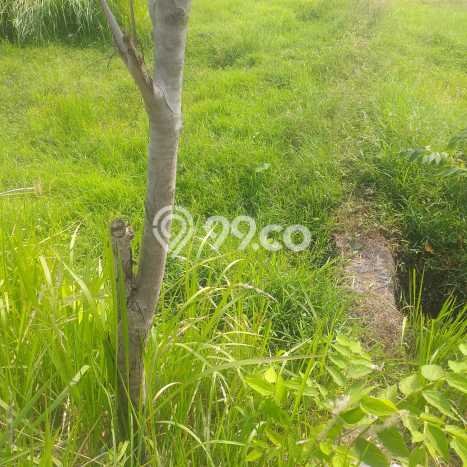 Tanah di Serang Cibarusah, Bekasi Luas 120000m2 Dijual Segera Tanah di Serang Cibarusah, Bekasi Luas 120000m2 Dijual Segera