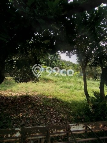 Tanah Dijual Lokasi Ciputat Timur, Tangerang Selatan Luas 226m2 Legalitas Aman Tanah Dijual Lokasi Ciputat Timur, Tangerang Selatan Luas 226m2 Legalitas Aman