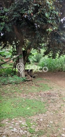 Dijual Tanah Lokasi Cirendeu, Jakarta Selatan Seluas 6400m2 Dijual Tanah Lokasi Cirendeu, Jakarta Selatan Seluas 6400m2