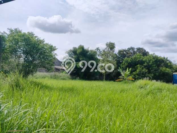 Tanah Strategis Dijual di Tajur Halang Bogor 2855m2 Tanah Strategis Dijual di Tajur Halang Bogor 2855m2