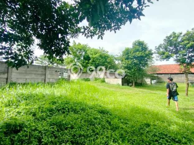 Tanah Strategis Dijual di Tajur Halang Bogor 2855m2 Tanah Strategis Dijual di Tajur Halang Bogor 2855m2