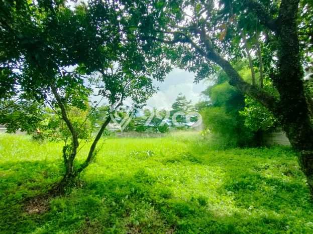 Tanah Strategis Dijual di Tajur Halang Bogor 2855m2 Tanah Strategis Dijual di Tajur Halang Bogor 2855m2