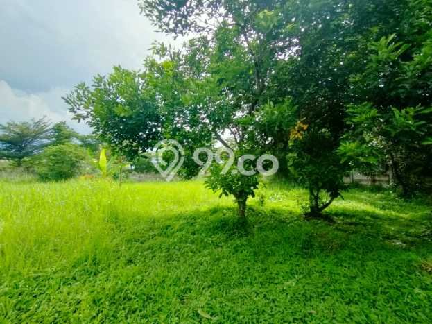 Tanah Strategis Dijual di Tajur Halang Bogor 2855m2 Tanah Strategis Dijual di Tajur Halang Bogor 2855m2