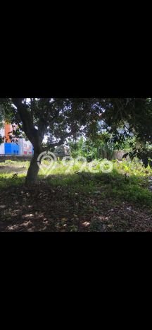 Tanah Kavling Dijual di Jakarta Selatan dengan Spesifikasi 9965m2 Tanah Kavling Dijual di Jakarta Selatan dengan Spesifikasi 9965m2