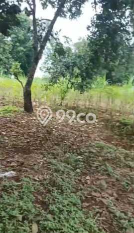 Dijual Tanah Lokasi Bekasi, Bekasi Seluas 5321m2 Dijual Tanah Lokasi Bekasi, Bekasi Seluas 5321m2