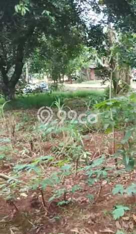 Dijual Tanah Lokasi Bekasi, Bekasi Seluas 5321m2 Dijual Tanah Lokasi Bekasi, Bekasi Seluas 5321m2