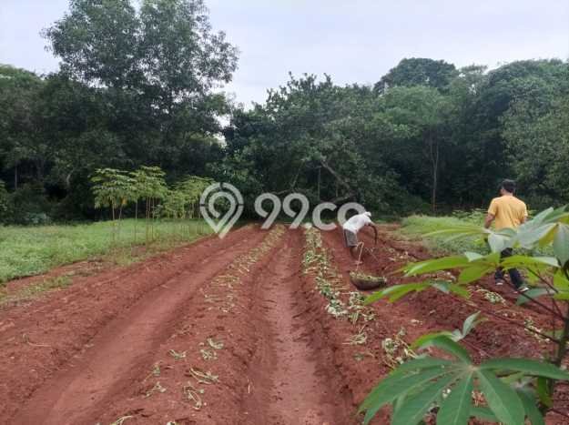 Dijual Tanah Lokasi Bekasi, Bekasi Seluas 5321m2 Dijual Tanah Lokasi Bekasi, Bekasi Seluas 5321m2